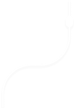 bottomIcon