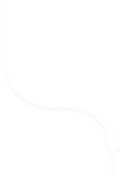 bottomIcon